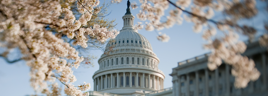 Capitol Building_Spring.png Capitol Building_Spring.png