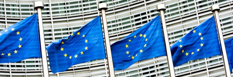 European Flags Image.png European Flags Image.png